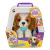 LITTLE LIVE PETS MI CACHORRO REAL 0
