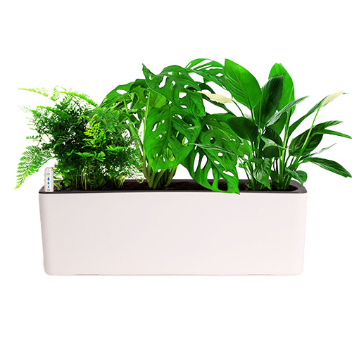 MACETERO AUTORREGANTE PLANTER PLUS50cms