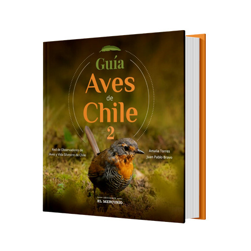 Apoya libros METAL con estilo de aves